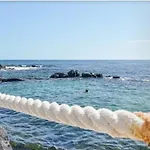 Aguaviva